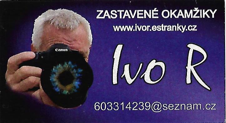 Ryšavý Ivo